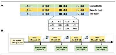 Durum wheat (Triticum turgidum L. var. durum) root system response to drought and salt stresses and genetic characterization for root-related traits